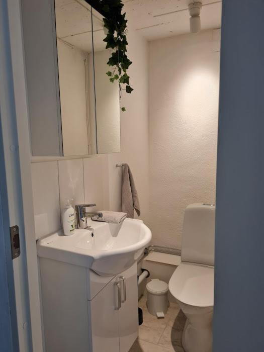 47 By The Sea Apartment Höganäs Екстериор снимка